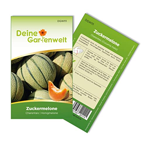 Zuckermelonen Charentais Samen - Cucumis melo - Melonensamen - Obstsamen - Saatgut für 15 Pflanzen von Deine Gartenwelt