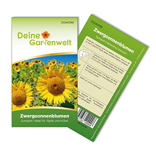 Zwergsonnenblumen Sunspot Samen - Helianthus annuus - Sonnenblumensamen - Blumensamen - Saatgut für 20 Pflanzen von Deine Gartenwelt