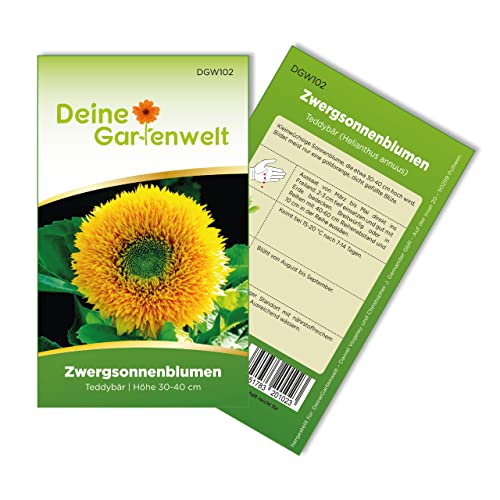 Zwergsonnenblumen Teddybär Samen - Helianthus annuus - Zwergsonnenblumensamen - Blumensamen - Saatgut für 20 Pflanzen von Deine Gartenwelt