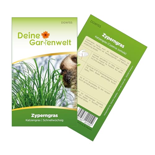 Zyperngras Katzengras Samen - Cyperus zumula - Zyperngrassamen - Katzengrassamen - Saatgut für 90 Pflanzen von Deine Gartenwelt