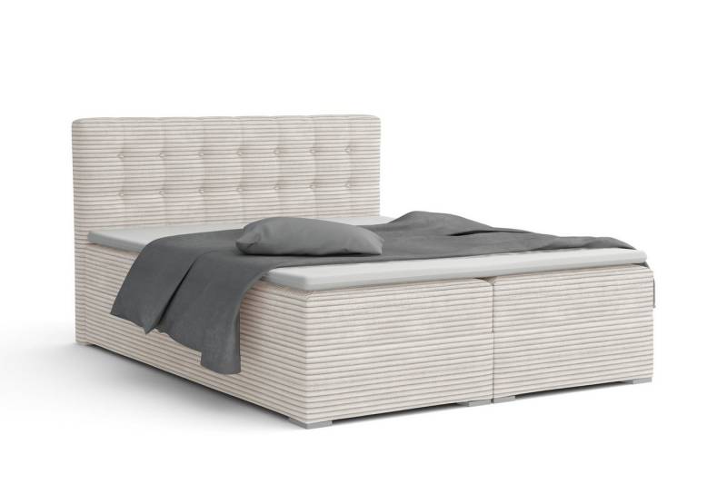 Deine Möbel 24 Boxspringbett CYNTHIA Boxbett Polsterbett Matratzen H3 oder H4 (Set, 3-St., Cord Cord-Samt 140x200 160x200 180x200 200x200), inkl. Bettkasten Topper Matratzen H3 H4 von Deine Möbel 24