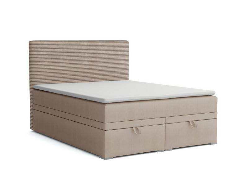 Deine Möbel 24 Boxspringbett DARO Boxbett Polsterbett Komplettbett Bett mit einer Matratze H4 (Taschenfederkernmatratzen 7 Zonen H4 Grau Hellgrau Schwarz Anthrazit Beige Samt Velour, 2-St., Taschen-federkernmatratze 7 Zonen H4 PREMIUM Bett), inkl Topper, Bettkasten 120x200 140x200 160x200 180x200 200x200 von Deine Möbel 24