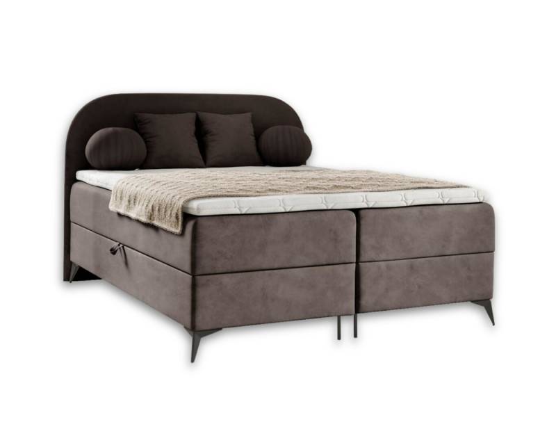 Deine Möbel 24 Boxspringbett JENNY Komplettbett Polsterbett Bett Bonellfederkernmatratzen H3 (Jugendbett Hotelbett Taschenfederkernmatratzen 7 Zonen H4 optional inkl. Kissen, 3-St., Ehebett Matratzen H3 / H4 Velours Samt Beige Grau Blau Türkis Braun), inkl Topper Bettkästen, 100x200 140x200 160x200 180x200 abgerundet von Deine Möbel 24