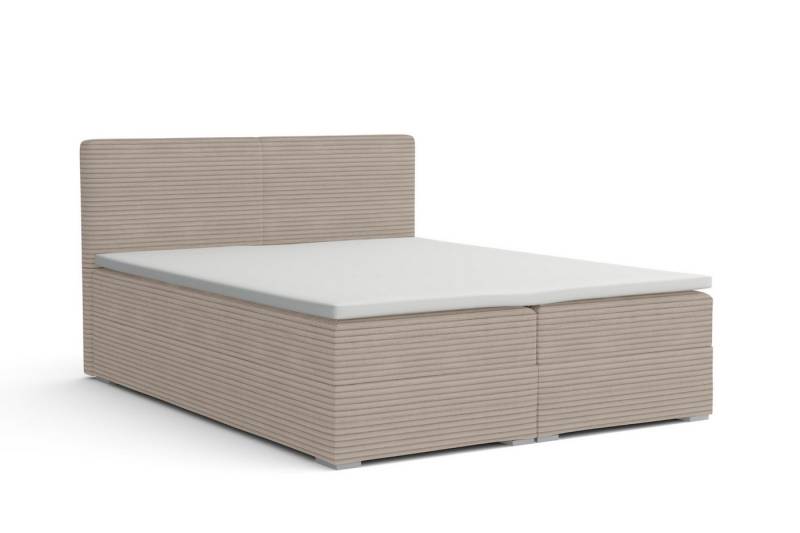 Deine Möbel 24 Boxspringbett LON III mit Bettkasten, Polsterbett mit Topper, Kompletbett (Boxbett mit Bonell-Federkern H3 oder Taschen-Federkernmatratzen H4, 1-St., Cord-Stoff Beige Creme Grau Dunkelgrau Graphit Schwarz), Größen: 140x200 160x200 180x200 200x200 von Deine Möbel 24
