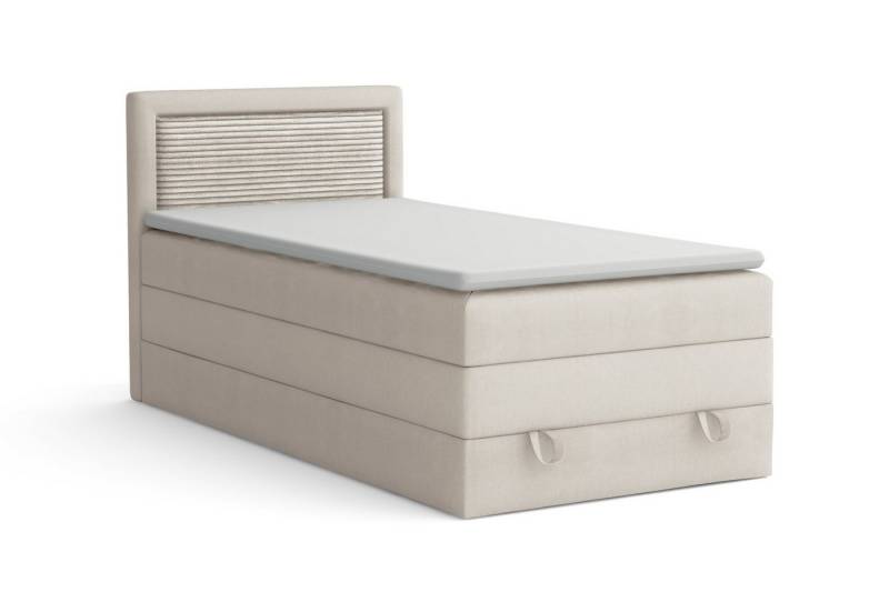 Deine Möbel 24 Boxspringbett NORA Boxbett Einzelbett Polsterbett Jugendbett (Beige Hellgrau Grau Anthrazit Schwarz, 3-St., Bonellfederkernmatratze H3 Taschenfederkernmatratze H4), 90x200 100x200 Veloursstoff von Deine Möbel 24