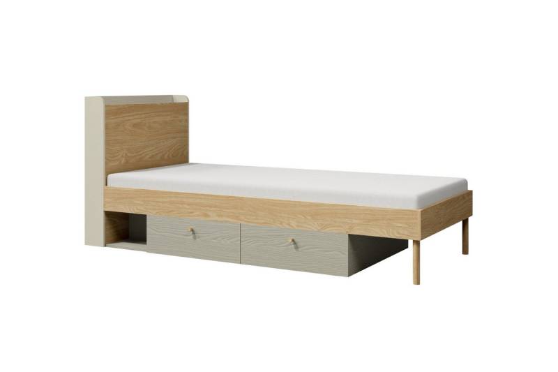 Deine Möbel 24 Kinderbett YOGI 13 Jugendbett Einzellbett Bett 90x200 cm (Set, 4-tlg., inkl. 2 Schubladen), Kinderzimmer Jugendzimmer Graubeige Geölte Eiche Eukalyptus Koralle von Deine Möbel 24