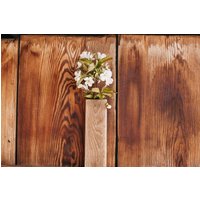 Holzvase Mit Reagenzglas Für Schnitt - Und Trockenblumen Wanddeko Wandvase Wandtasche Wohndeko Wanddekoration Holzvase Mit Reagenzglas Für Schnitt - Und Trockenblumen Wanddeko Wandvase Wandtasche Wohndeko Wanddekoration von DeineKreidetafel