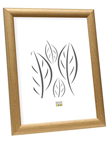 Deknudt Bilderrahmen, Holz, Gold, 24 x30 cm von Deknudt Frames