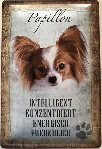 Deko 7 Blechschild 30 x 20 cm Hund Papillon von Deko 7