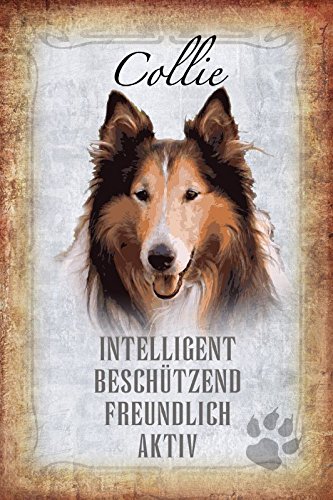 Deko 7 Blechschild Hund Collie von Deko 7