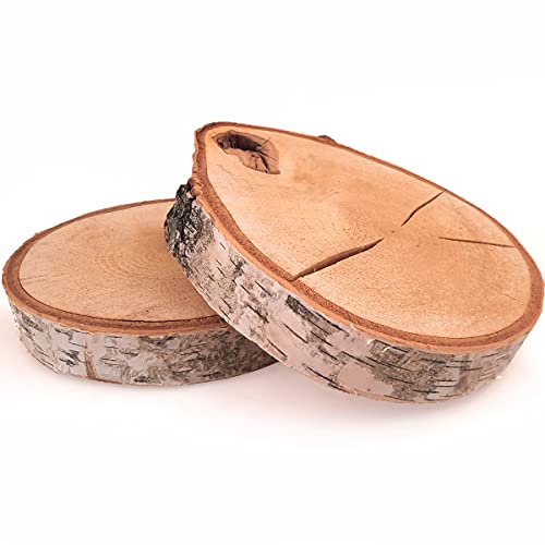 Birkenholzscheiben 2er Set Baumscheiben Hochzeit Dekoration Rustikal Natur Herbst Weihnachten Dekoscheibe Bastelbedarf von Deko AS GmbH