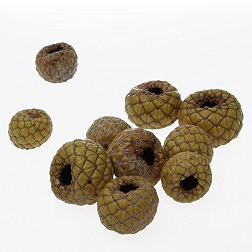 Deko und Band Rumbia - Schuppenfrucht - 5 Stück - ca. 3 bis 4 cm - 6024 (1,19€/STK.) von Deko und Band