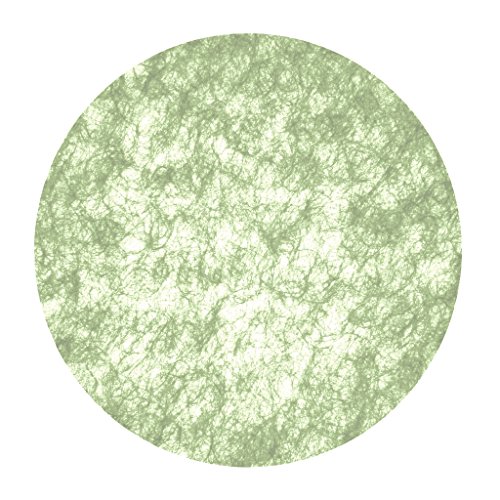 Sizoflor Kreise - Platzsets - Tischsets - Dekounterlage - 12 Stück - ca.56cm - 60K … (Olive-Moosgrün) von Deko AS GmbH