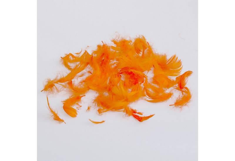 Deko AS Bastelfedern Babyfedern - Flaumfedern - orange - ca. 270 Stück - 1 VE = 5gr - 71… von Deko AS