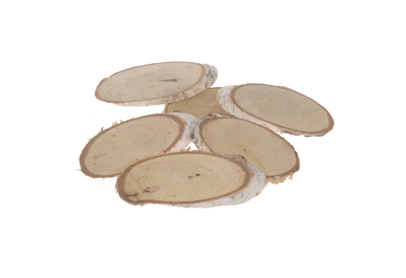 Deko AS Bastelnaturmaterial Birkenholzscheiben - Oval - Birke - Holz - Scheiben - Mini - Natur - von Deko AS