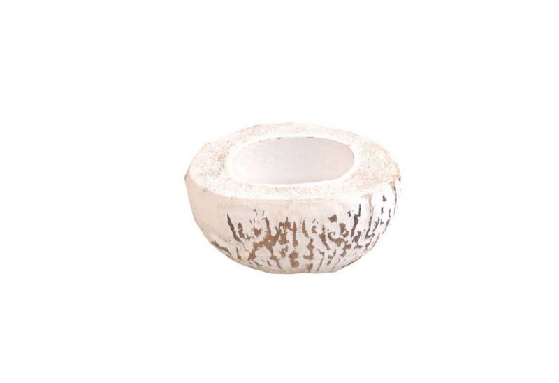 Deko AS Dekoschale Kokosnuss - Tropical White - ø ca. 14-16 cm - 7155-02 von Deko AS