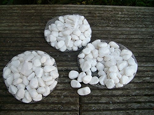 3 Kilo Flusssteine, Dekosteine, Zierkies, Flusskiesel, Weiss von Deko-Impresion
