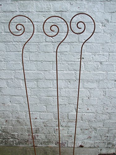 3 Stück, Gartenstab Schnecke, Rankstab, Rosenstab, Rost,150 cm, Eisen von Deko-Impression