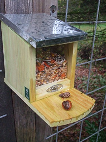 Deko-Impression Eichhörnchen Futterhaus, futterautomat, futterstelle + 500 Gr Futter von Deko-Impression