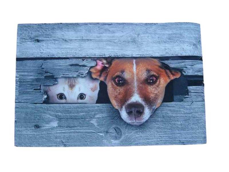 Deko-Impression Fußmatte Fußabstreifer Hund Katze Fußmatte Abtreter Türmatte 70 x 45 cm von Deko-Impression