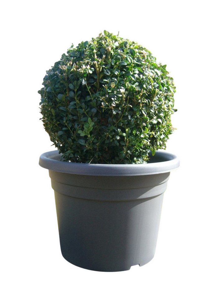 Deko-Impression Pflanzkübel Großer Pflanzkübel Palermo Pflanztopf, Blumentopf, 40 cm, anthrazit (1 St) von Deko-Impression