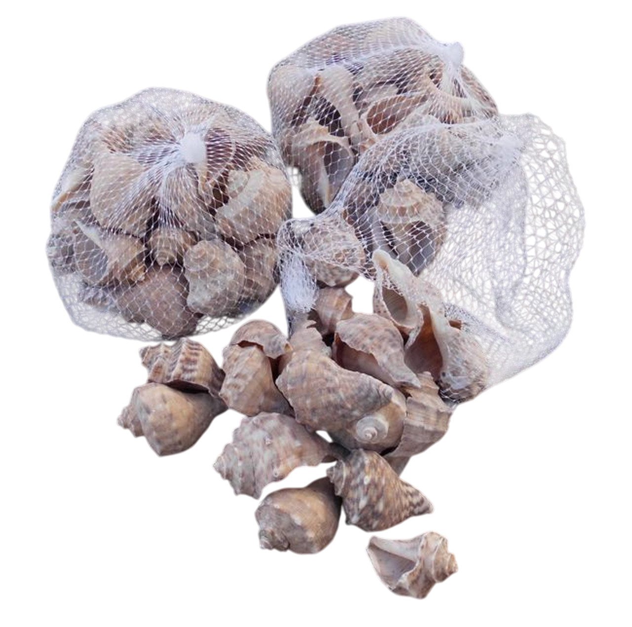 Deko-Impression Streudeko 3 Netze echte Muscheln ca. 3 x 7 cm, beige. Mediterrane Dekoration, (3-tlg) von Deko-Impression