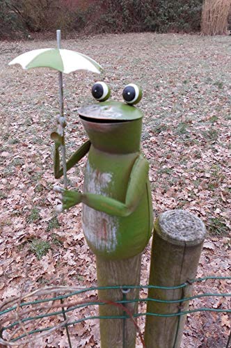 Deko-Impression Zaunfigur Zaunhocker Gartendeko witziger frecher Frosch m. Schirm 16cm von Deko-Impression
