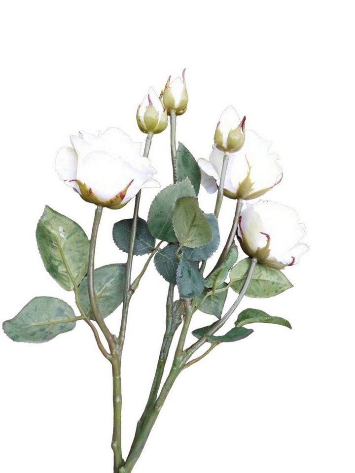 Kunstblume Traumschöne Rosenstiele Blumenstrauß Rosenstrauß weiss 3 St. 6 Blüten, Deko-Impression von Deko-Impression