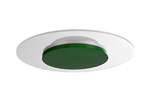 Deko-Light | LED-Deckenleuchte Deckenlampe Innenbereich dimmbar 360°-Licht | Zaniah Grün 12W von Deko-Light
