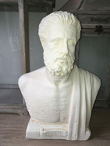 Deko Shop Cologne Hippokrates von Kos Büste Figur Griechischer Arzt Sokrates Traiani Antik 70 von Deko Shop Cologne