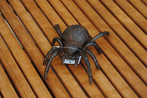 Deko Shop Cologne Windspinne Vogelspinne XXL Lebensgroß Gusseisen Garten Deko 19 cm Rostbraun Wetterbeständig Deko Shop Cologne Windspinne Vogelspinne XXL Lebensgroß Gusseisen Garten Deko 19 cm Rostbraun Wetterbeständig von Deko Shop Cologne