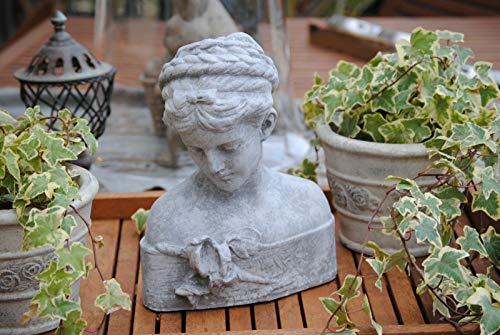 Schöne Dame Büste Frau Figur Skulptur Garten Deko Shabby-Style Stein Grau TOP 1 von Deko Shop Cologne