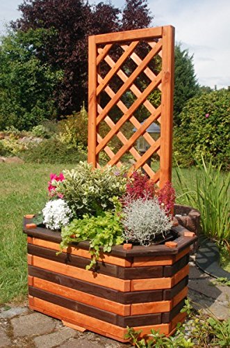 Deko-Shop-Hannusch Pflanzkasten, Blumenkasten, Blumenkübel aus massivem Holz mit schön gearbeiteter Pergola, für den Garten, Farbe:Braun - Schwarz von Deko-Shop-Hannusch