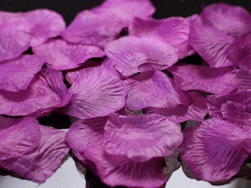 100 Rosenblätter aus Stoff violett Pflaume aubergine Hochzeit Streublumen Blumenkinder Rosenblüten Tischdeko von Deko-Streuschmuck