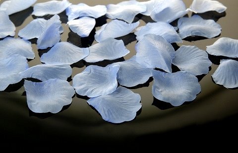 100 Rosenblätter hellblau Pastellblau Hochzeit Streublumen Blumenkinder Rosenblüten Tischdeko Taufe Hochzeit von Deko-Streuschmuck