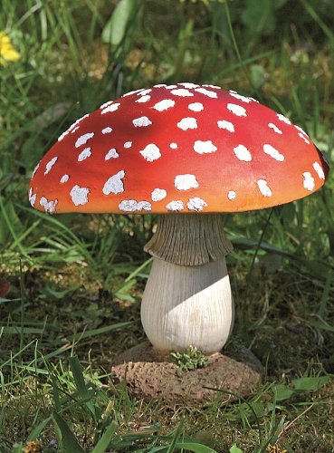 Fliegenpilz Deko Pilz Gartendeko Pilze Garten rot getupft H ca 17 cm 1812-2501000A von DEKO IM TREND