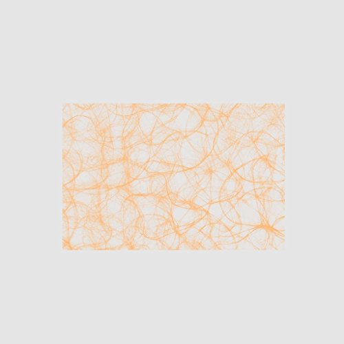 Sizoweb Formen - Platzsets - Tischsets - Dekounterlagen - 12 Stück - 64 (Sizoweb Rechteck, Apricot) von Deko und Band