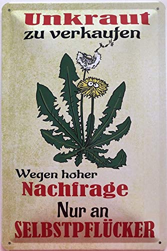 Deko7 Blechschild 30 x 20 cm Garten Spruch: Unkraut Wegen hoher Nachfrage. Nur an Selbstpflücker Deko7 Blechschild 30 x 20 cm Garten Spruch: Unkraut Wegen hoher Nachfrage. Nur an Selbstpflücker von Deko7