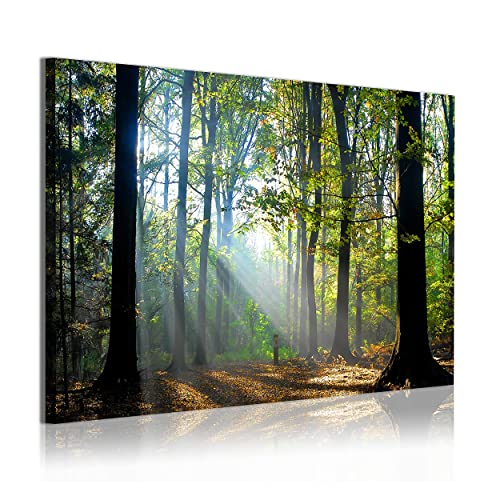 DekoArte 312 - Modernes Bild, digitalisierter Kunstdruck | Dekoratives Bild für den Salon oder das Schlafzimer | Stil Landschaft Wald Bäume mit Sonnenstrahlen Natur | 1 Teil 120x80 cm von DekoArte