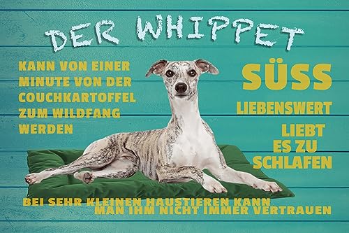 Blechschild 18x12 cm Der Whippet Hund süss liebenswert Charakter Eigenschaften Wand Deko Sammler Geschenk Blechschild 18x12 cm Der Whippet Hund süss liebenswert Charakter Eigenschaften Wand Deko Sammler Geschenk von DekoDrom