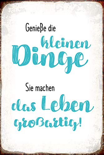 DekoDrom® Blechschild 20x30 cm Genieße die kleinen Dinge sie machen das Leben Großartig Spruch Tafel Wand Deko Bar Kneipe Cafe Sammler Geschenk von DekoDrom