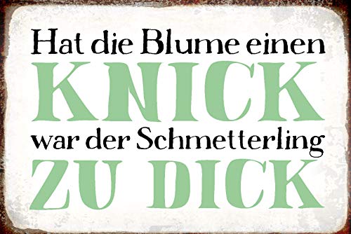 DekoDrom® Blechschild 20x30 cm Hat die Blume einen knick war der Schmetterling zu Dick Spruch Lustig Tafel Wand Deko Bar Kneipe Cafe Sammler Geschenk von DekoDrom