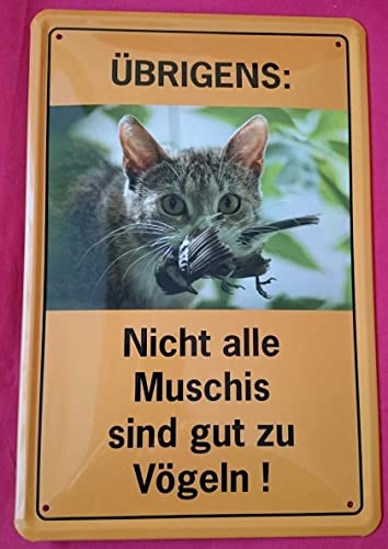 DekoDrom® Blechschild 20x30 cm Nicht alle Muschis sind gut zu Vögeln Katze Kneipe Bar Spruch von DekoDrom