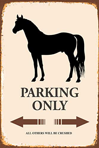 DekoDrom® Blechschild 20x30 cm Pferd Horse parking only Parkplatz Schild Garage Stellplatz Stall Wand Deko Bar Kneipe Sammler Geschenk von DekoDrom