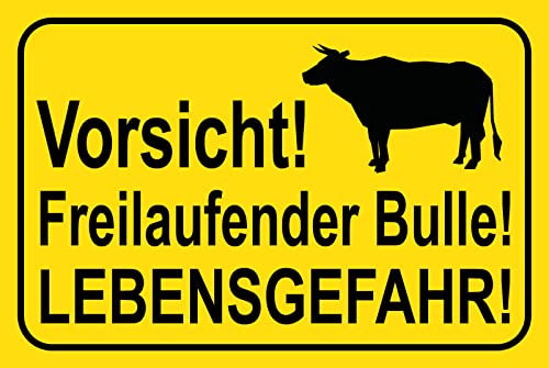 DekoDrom® Blechschild 20x30 cm Vorsicht Freilaufender Bulle Lebens Gefahr Tierliebe Spruch Hinweisschild Tafel Wand Deko Bar Kneipe Cafe Sammler Geschenk von DekoDrom