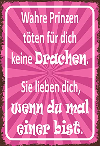 DekoDrom® Blechschild 20x30 cm Wahre Prinzen töten für dich keine Drachen sie lieben dich wenn du mal einer bist Spruch Tafel Wand Deko Bar Kneipe Cafe Sammler Geschenk von DekoDrom