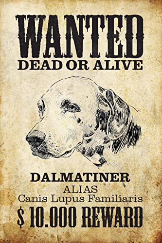 DekoDrom® Blechschild 20x30 cm Wanted dead or Alive Dalmatiner Hund Gesucht Verloren Spruch Tafel Steckbrief Wand Deko Bar Kneipe Cafe Sammler Geschenk von DekoDrom