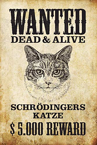 DekoDrom® Blechschild 20x30 cm Wanted dead or Alive Schrödingers Katze Gesucht Verloren Spruch Tafel Steckbrief Wand Deko Bar Kneipe Cafe Sammler Geschenk von DekoDrom