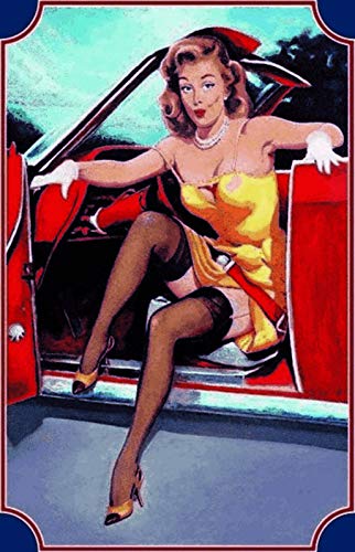 DekoDrom® Motiv Blechschild 20x30 cm Pin up Girl historisch 50er Jahre sexy Mädchen Erotik Strapse Auto Cabrio Dekoration Bar Kneipe Sammler von DekoDrom