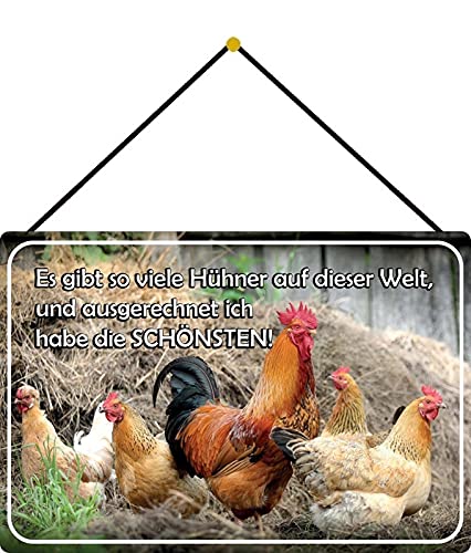 DekoDrom® Motiv Blechschild 20x30 cm mit Kordel Ich habe die schönsten Hühner Hof Wand + Tür Schild lustiger Spruch Dekoration Bar Kneipe Sammler von DekoDrom